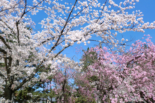財産